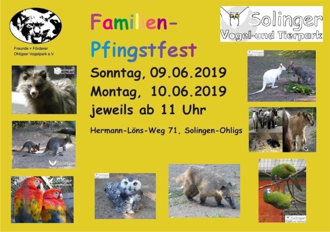 09. und 10.06.2019 Familien Pfingstfest