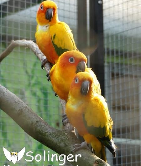 01.03.2026 Beginn der Vorsaison