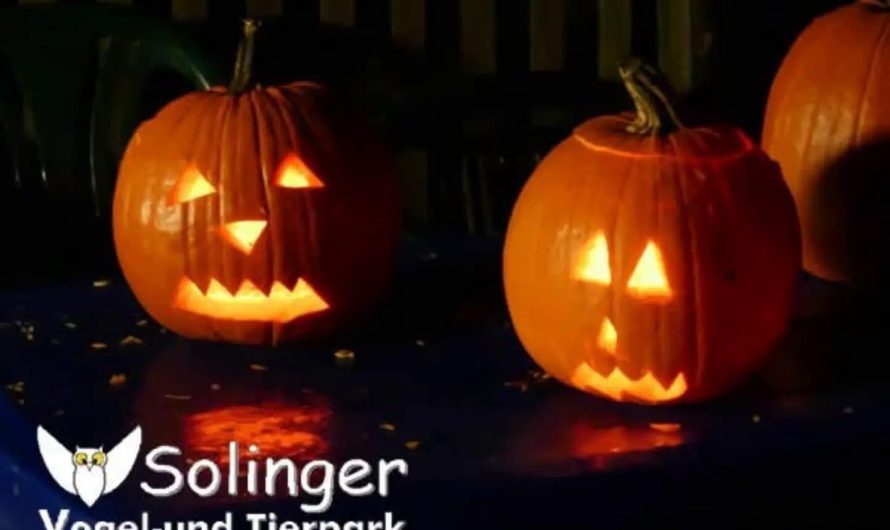 30.10.2026: Seid ihr bereit für ein herbstliches Abenteuer?